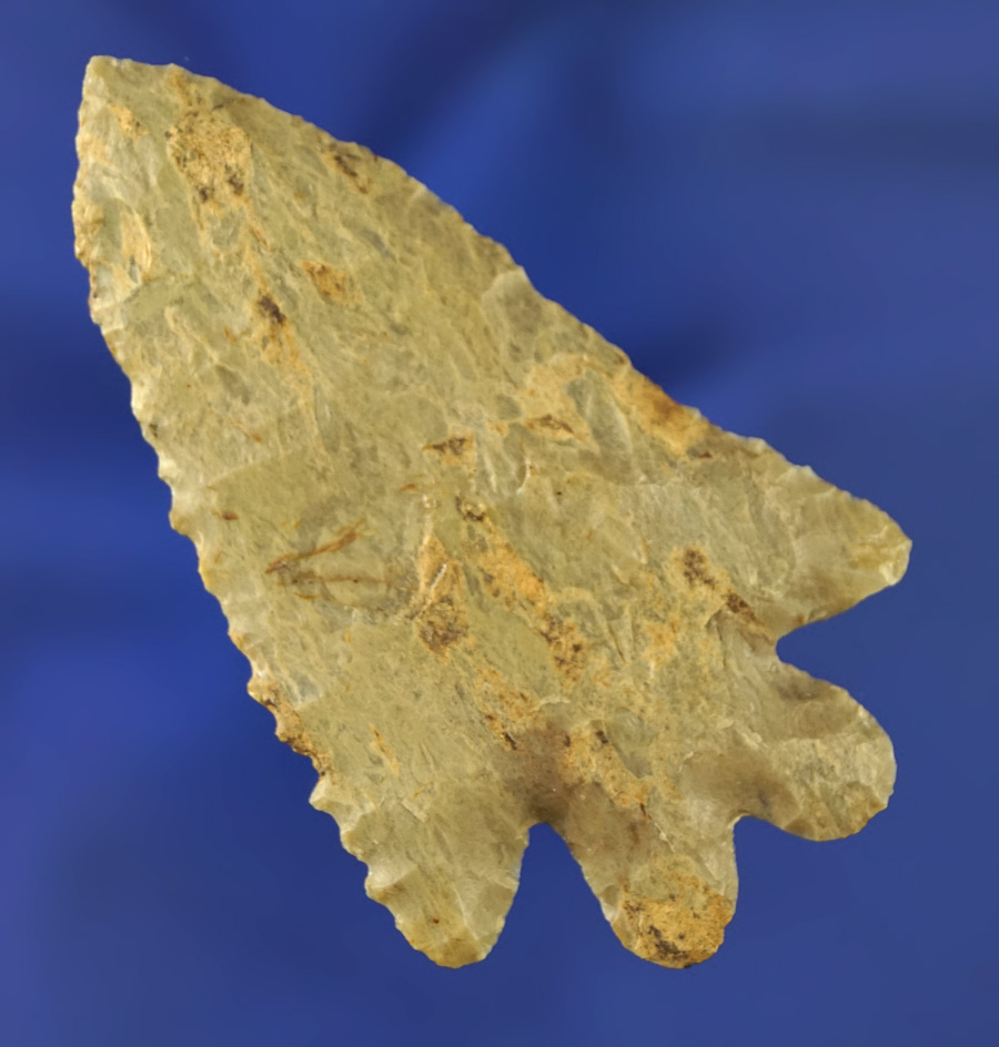 very large!2 5/8" Bifurcate made from rare Crooksville chert. Large size for type.