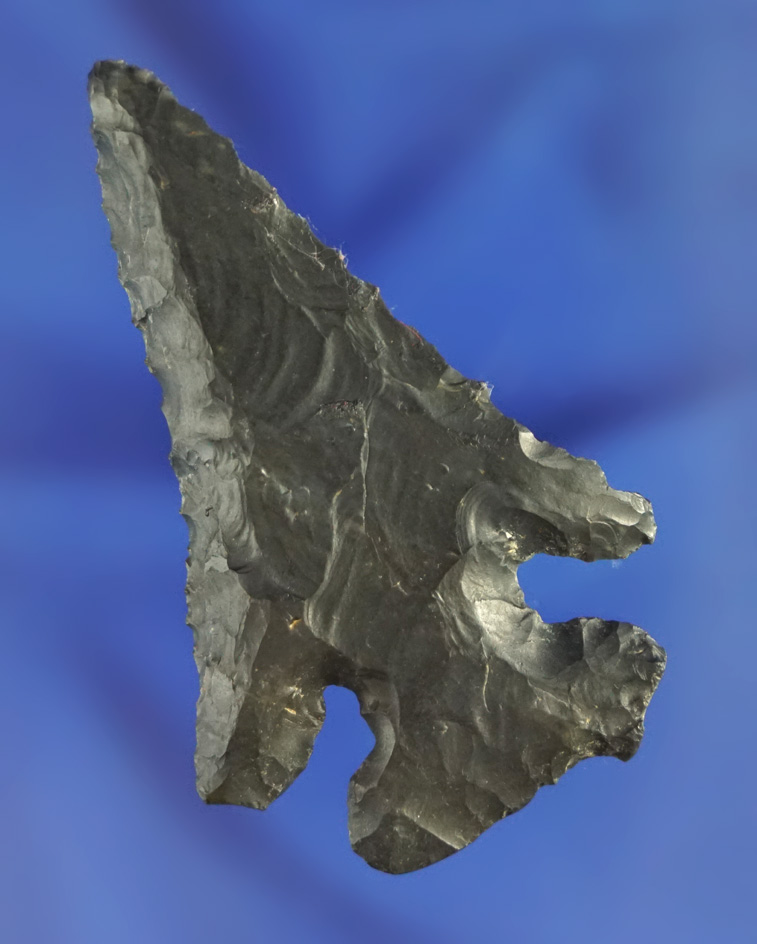 2 5/16" Archaic Thebes E-Notch Bevel found in Ohio. Ex. Jim Miller collection.