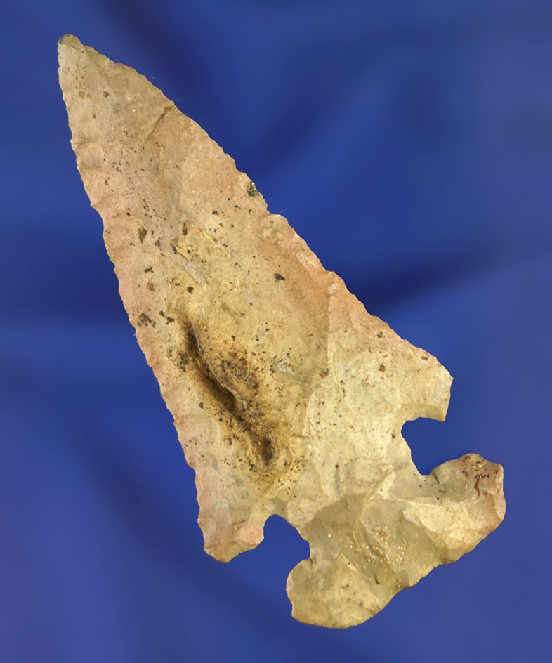 2 11/16" Archaic Thebes E-Notch Bevel found in Ohio. Ex. Jim Bennett.