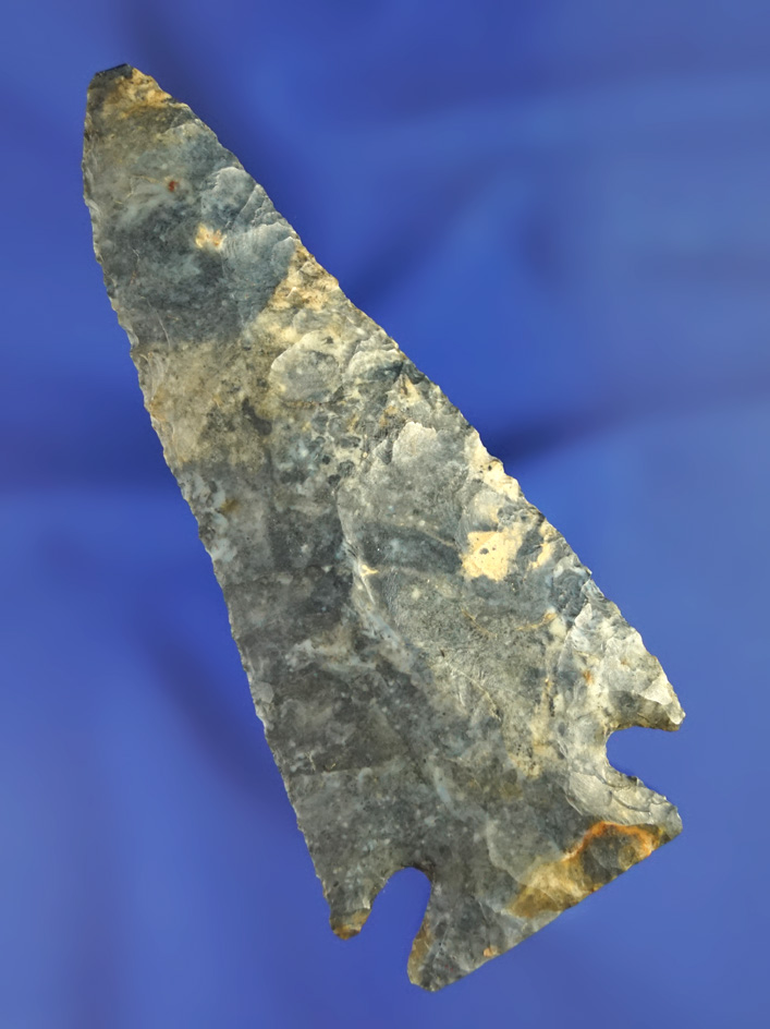 3 1/2" Fine and Thin Coshocton Blue Intrusive Mound found in Union Co., Ohio.
