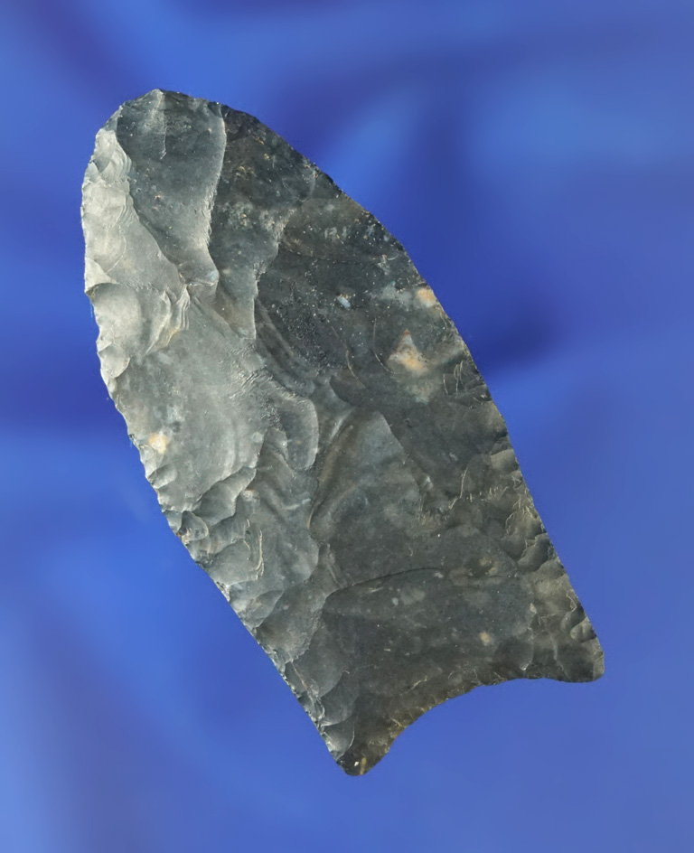 2 1/4" Paleo fluted Clovis made of Coshocton Flint found in Coshocton Co., Ohio.