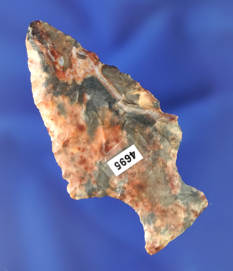 2 1/2" Ashtabula made from beautifully colored mottled Flint found in Licking Co.,  Ohio.
