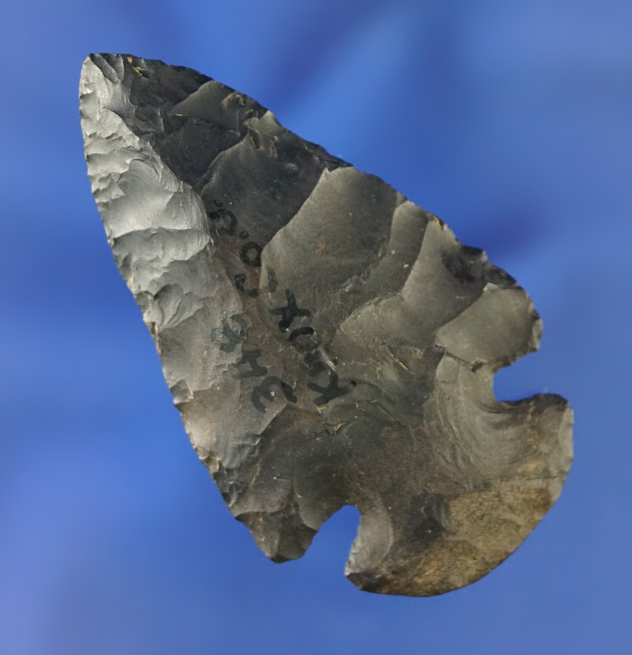 2 1/4" Coshocton Flint Dovetail found in Knox Co.,  Ohio that is very nicely flaked.