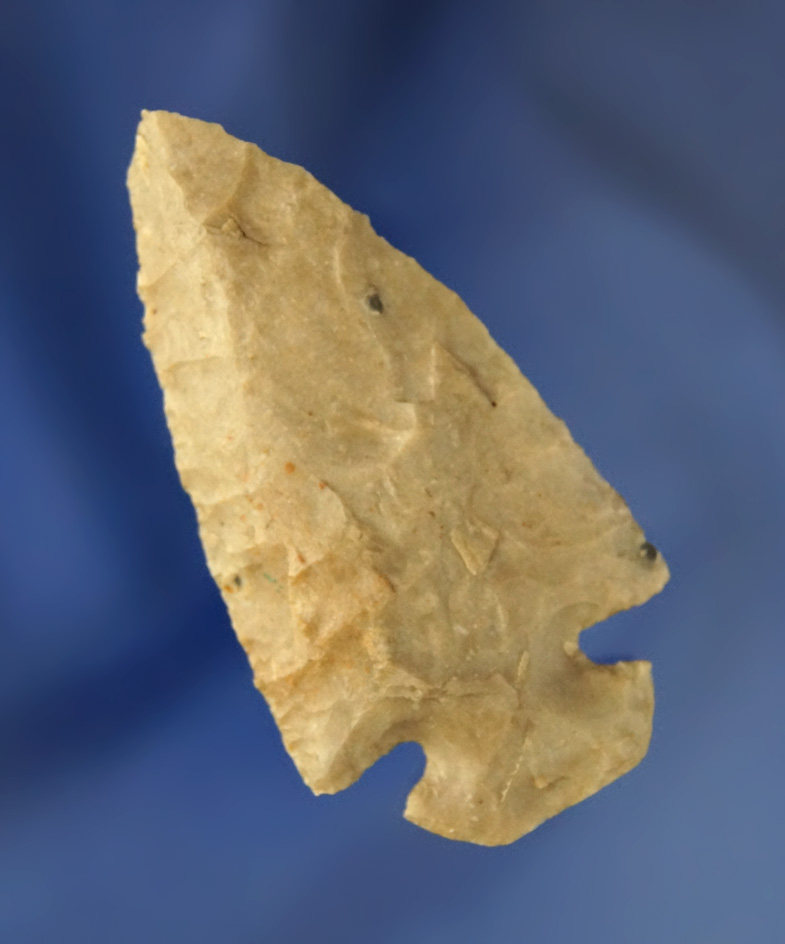 2 1/4" button based Dovetail found in Hamilton County Ohio.