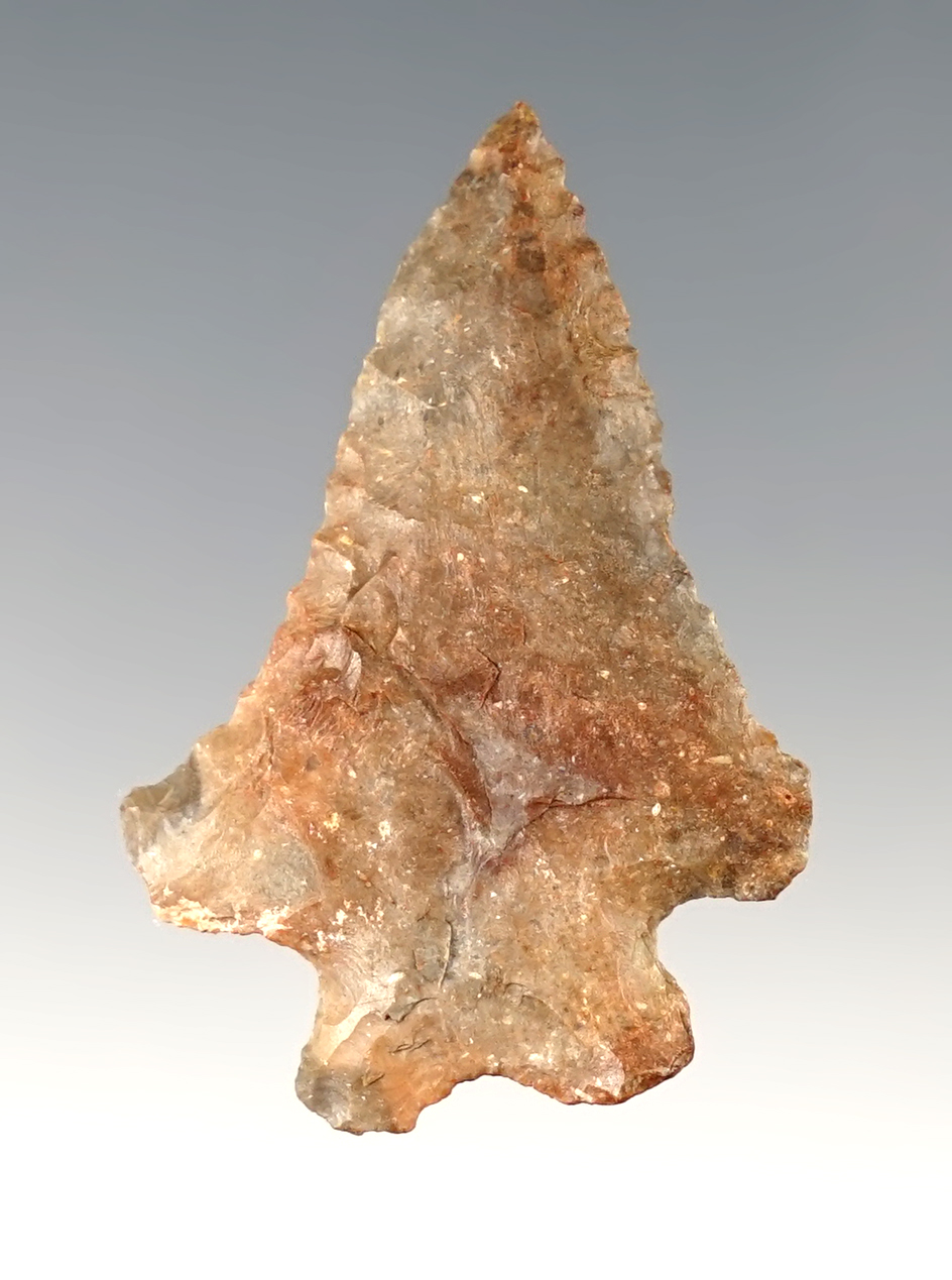 Thin and well flaked 1 9/16" Fox Valley Bifurcate found in the Midwestern U.S.