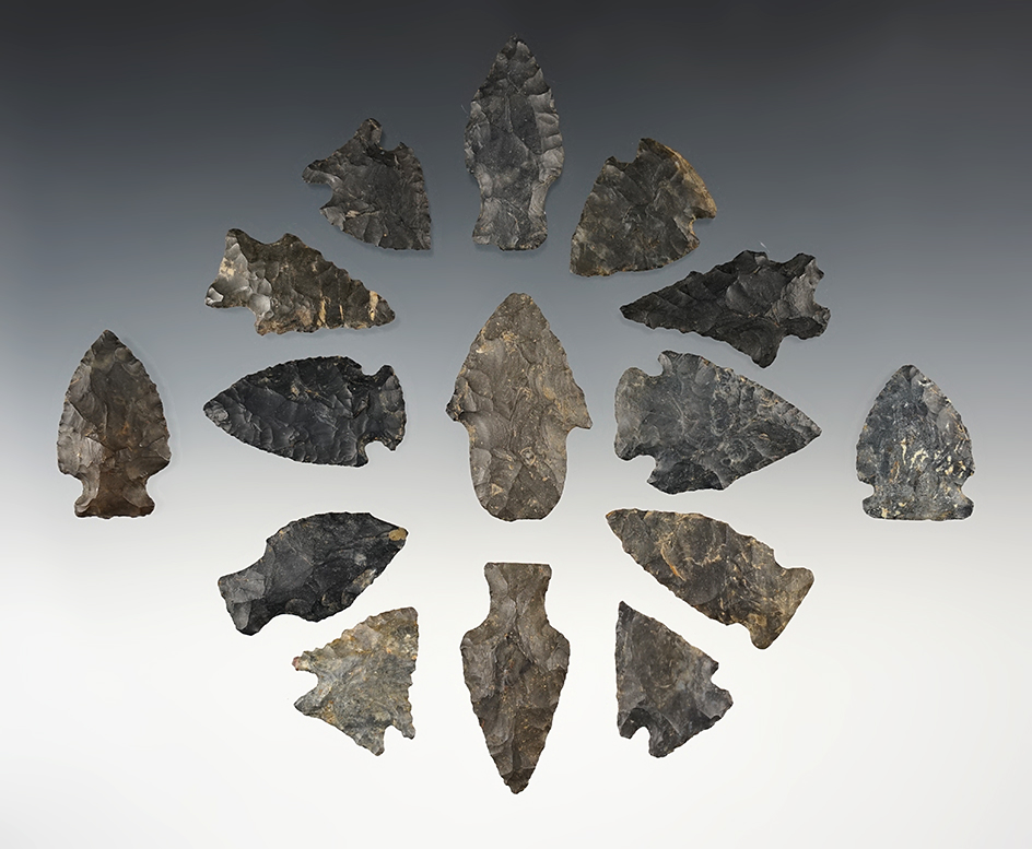 Set of 15 Coshocton points found in Stark Co., Ohio. The largest is 1 13/16".
