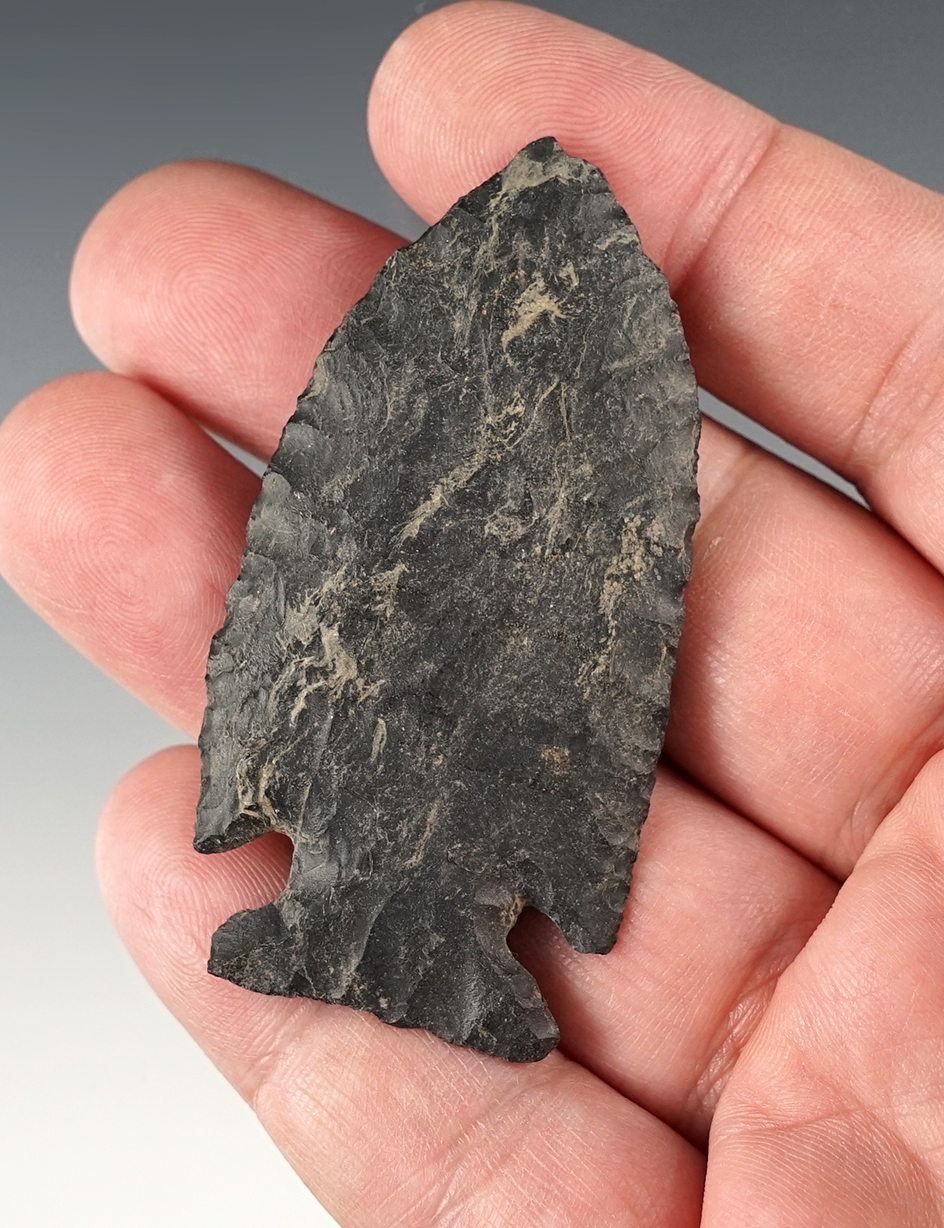 Excellent flaking and style on this 2 9/16" Coshocton Flint intrusive mound point found in Ohio.