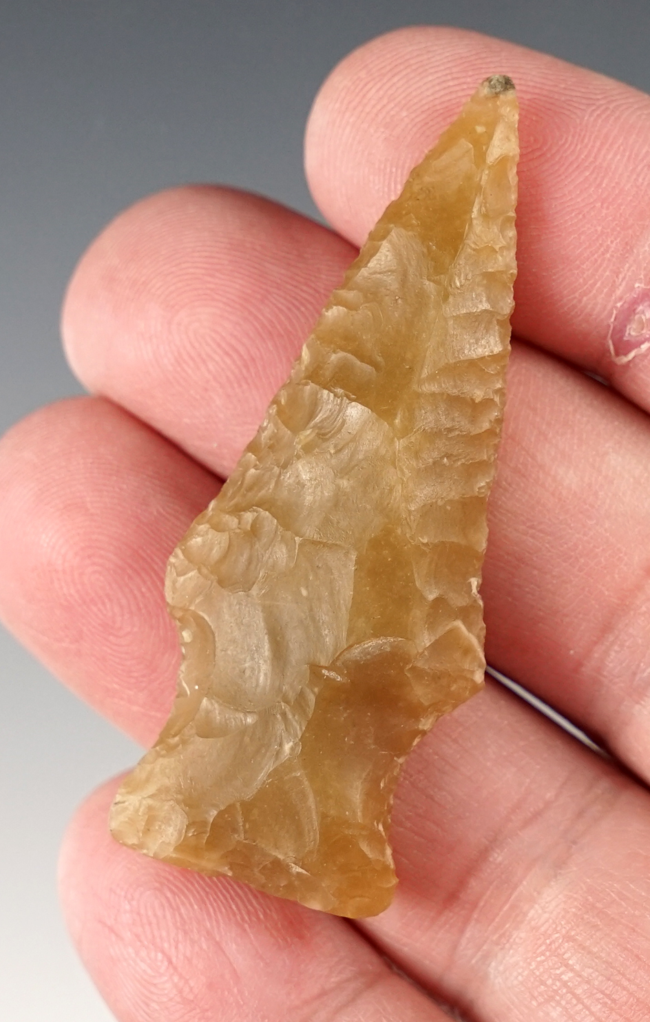 Semi-translucent 2 1/4" stemmed point with excellent flaking.