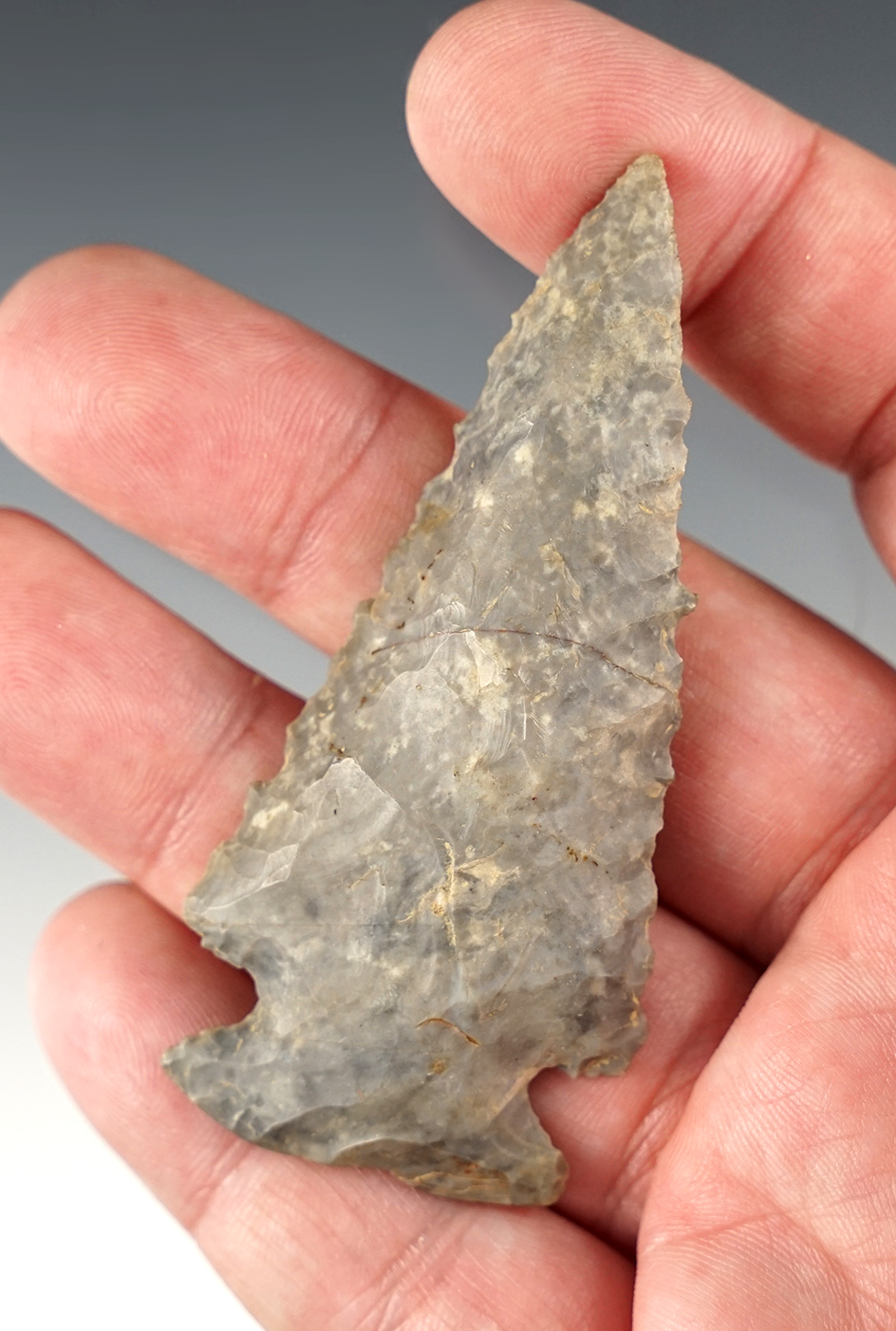 Serrated 3" Notch Base Dove that is beveled & well made. Found on F. Amos Farm, Stark Co., OH.