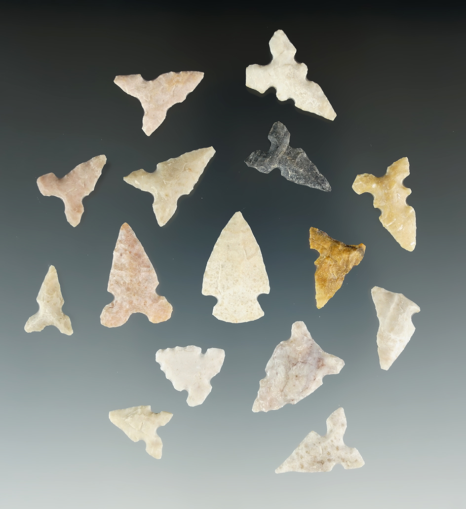 Set of 15 Texas Bird Points in excellent condition. Largest is 7/8".