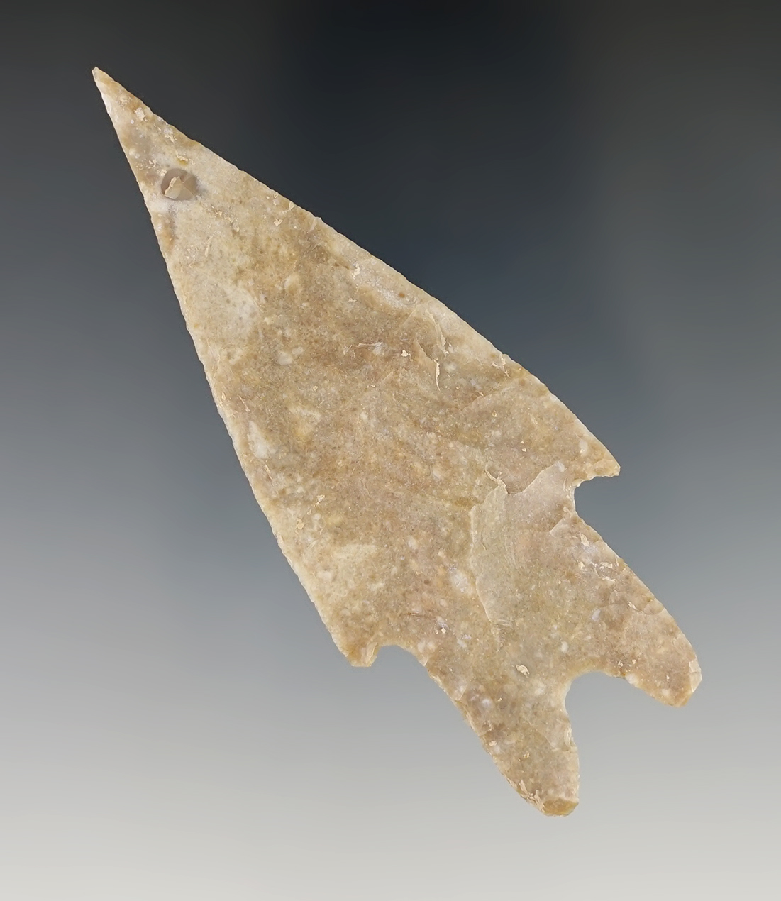 3 5/16" Pedernales found in Real Co., Texas. Nice needle tip. Rogers COA.