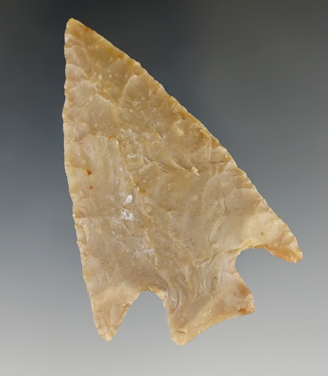 2 11/16" Marshall found in Central Texas. Rogers COA.