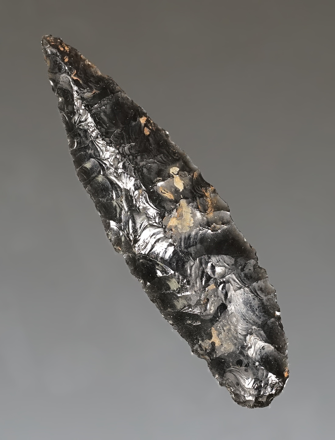 2 11/16" obsidian Cascade that was part of the Dewey Dietz Family Cache found in Oregon.