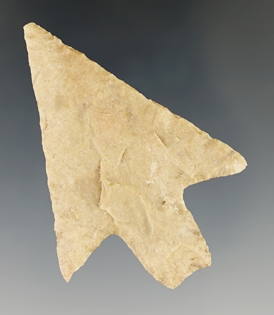 2 1/4" Langtry found in Bandera Co., Texas. Bill Arnold COA.