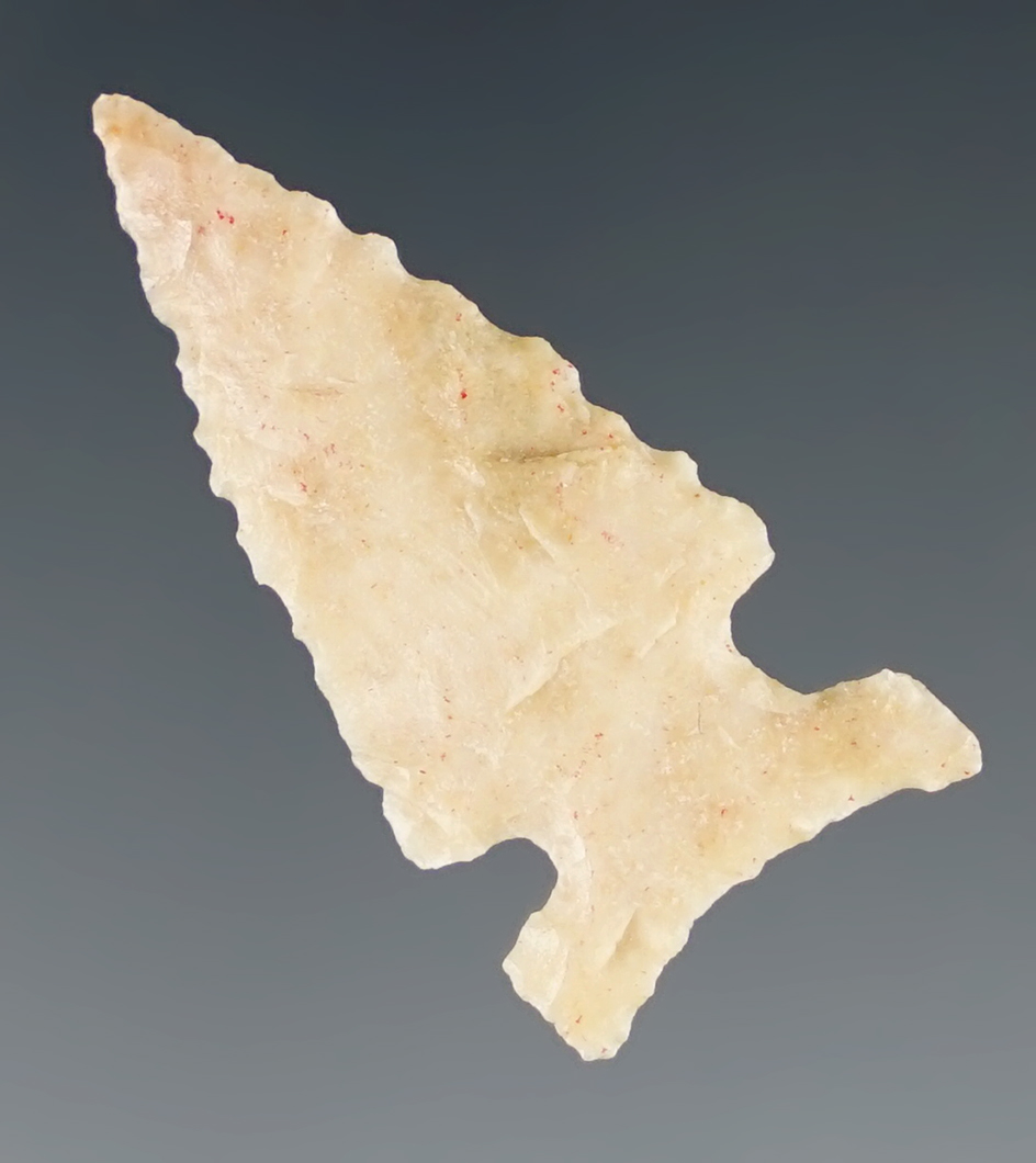 1 1/8" Caracara found in Texas. Deaccessioned by the Museum of Native American History.  COA.