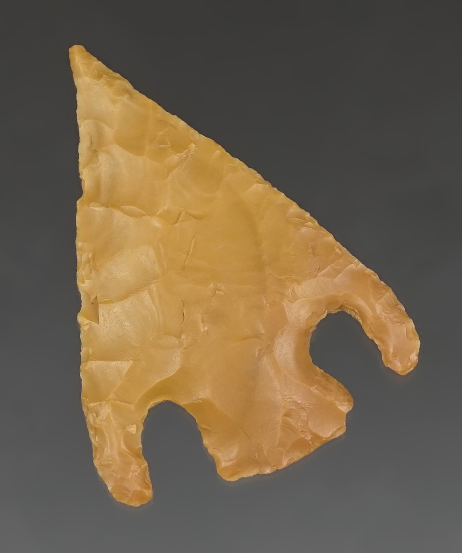 Classic style and excellent flaking on this 1 11/16" Shumla point found in Webb County Texas. COA.