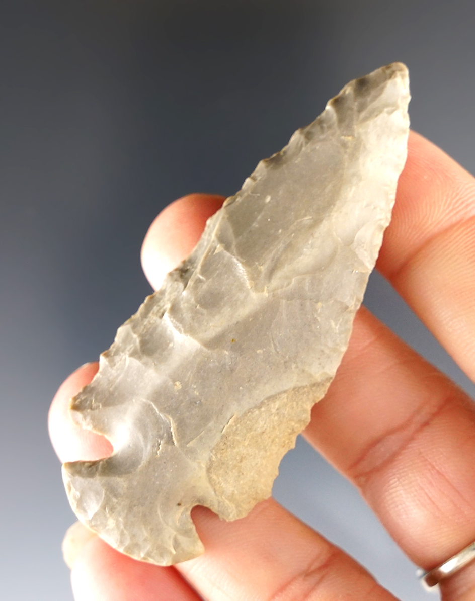 Nice 2 3/4" Hornstone Dovetail found in the Midwest.