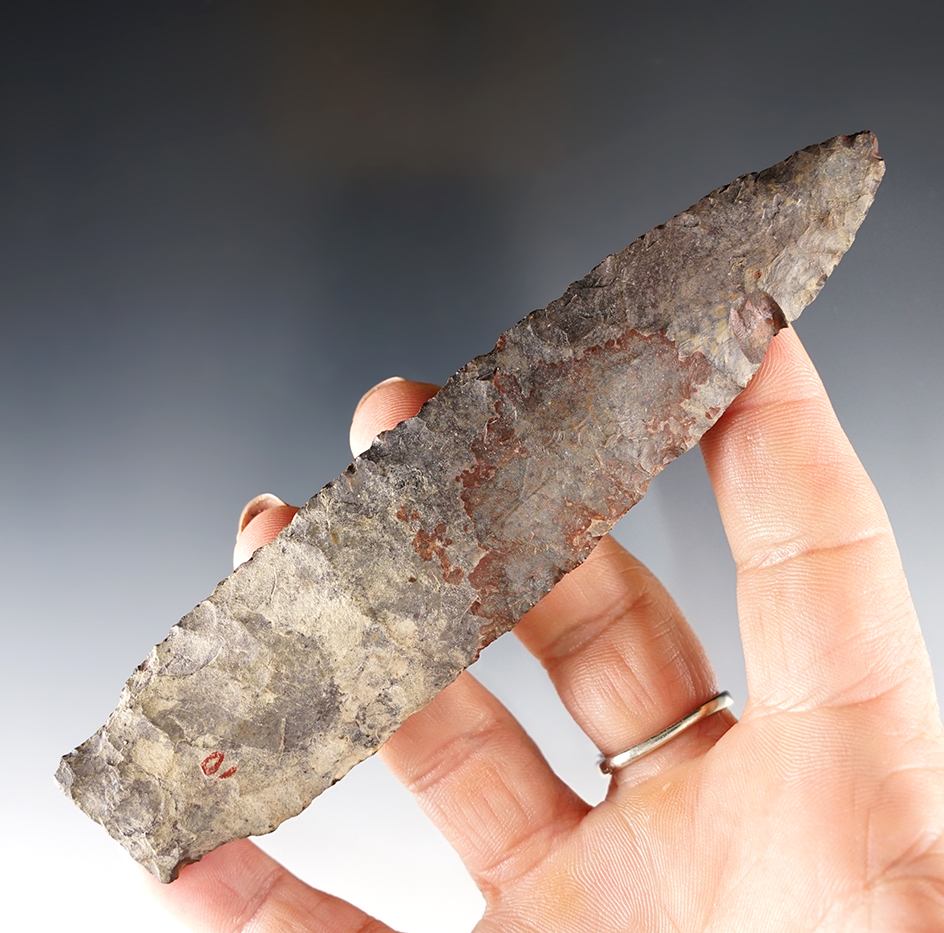 Large 5 1/8" Paleo Stemmed Lanceolate - Ohio. Some small box nicks. Ex. Terry Elleman.