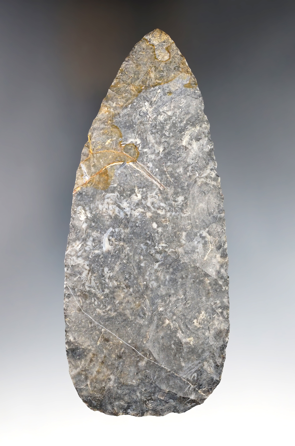 5 5/16"  Cache blade made from Coshocton Flint. Excellent patina and nicely mottled material.