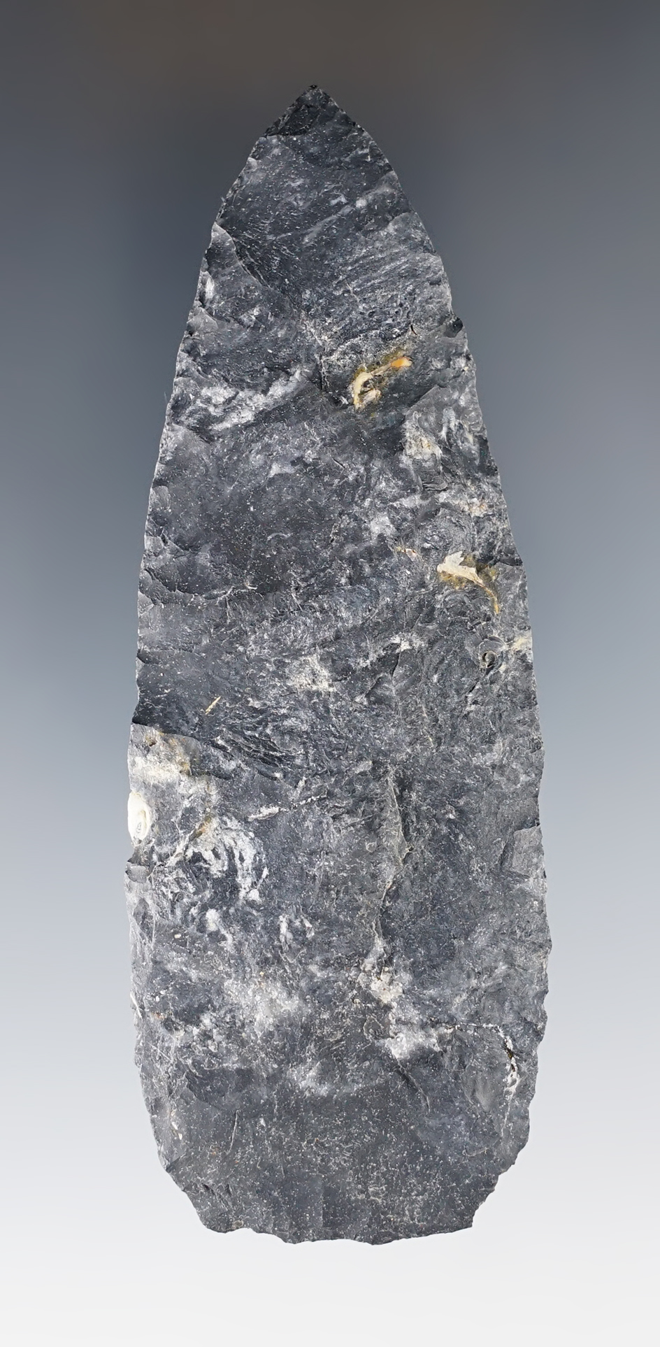 4 5/16" Plano blade made from Nellie variety Coshocton Flint.