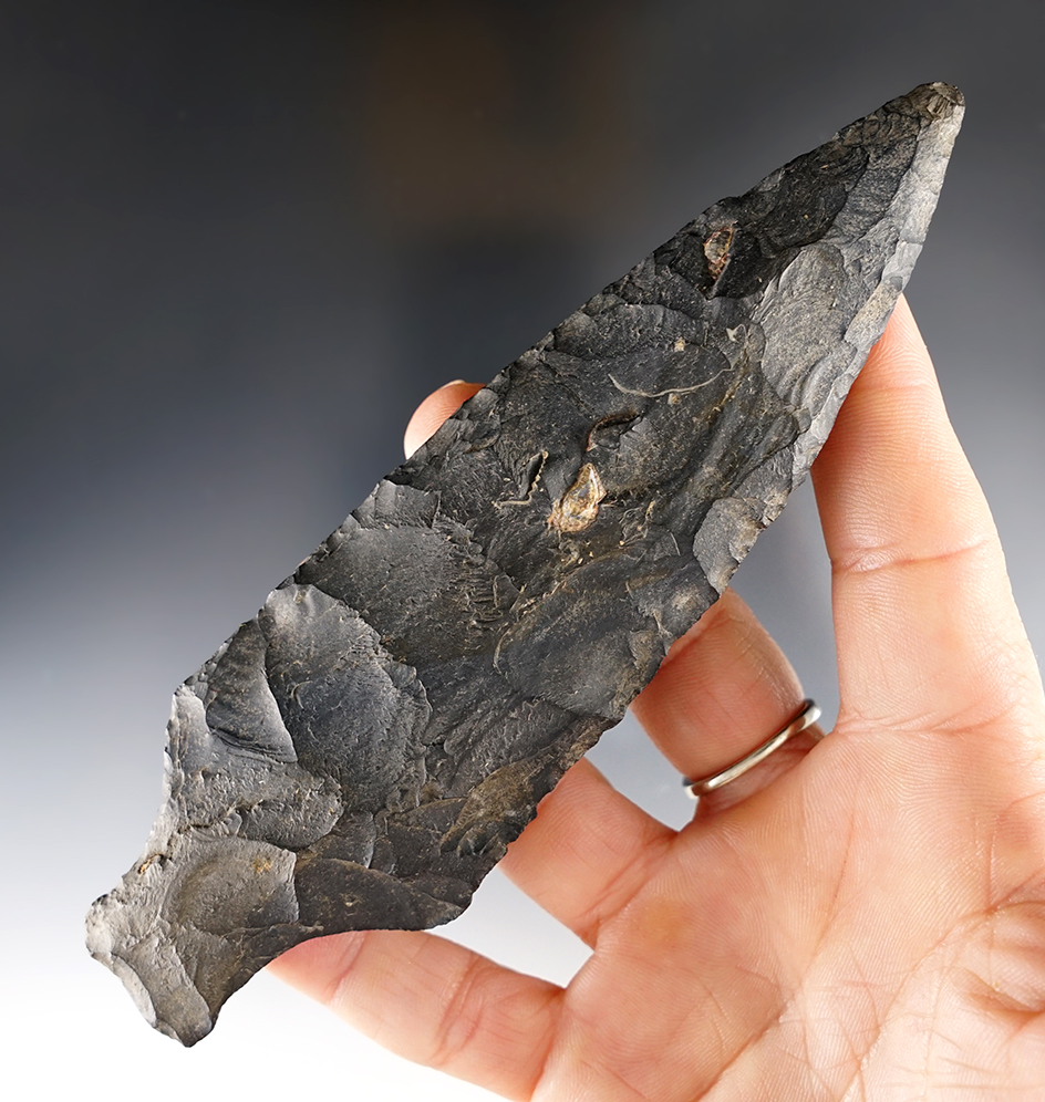 5 3/4" Ashtabula found in Licking Co., Ohio. A nice large example. Ex. Jeff Doren collection.