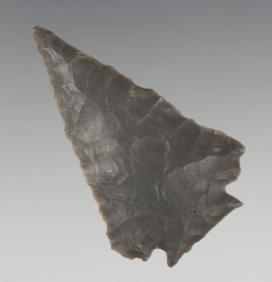 1 7/8" Decatur Fractured Base made from Hornstone found in Russell Co., Kentucky.