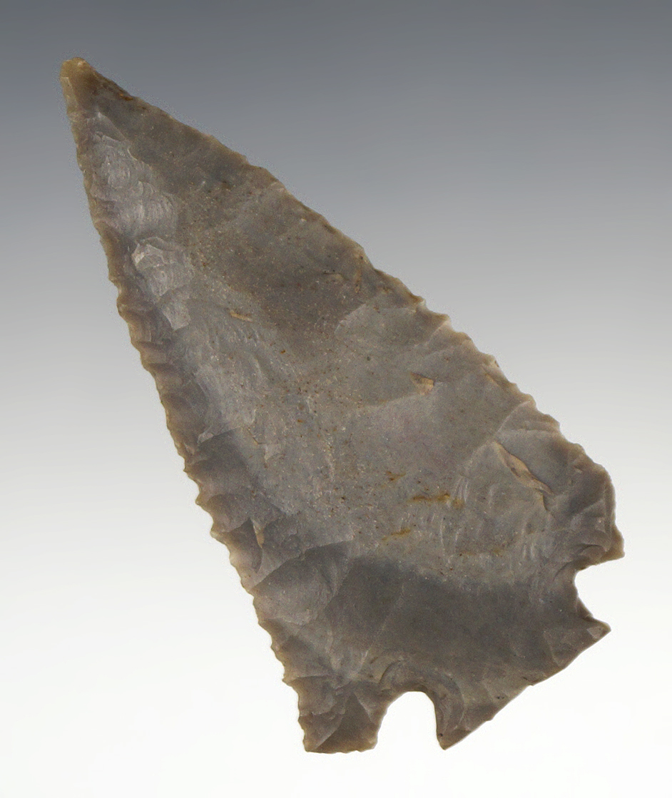 2 13/16" Hornstone Decatur Fractured Base found in Hart Co., Kentucky.