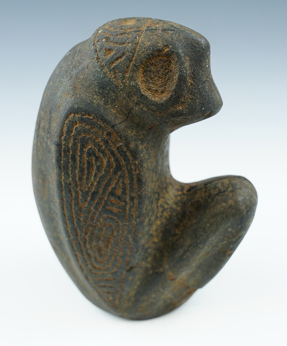 6 3/4" tall Taino Owl effigy idol. Found in Hispaniola. Ex. Jeff Sadofski. Hanna/Puttera COA.