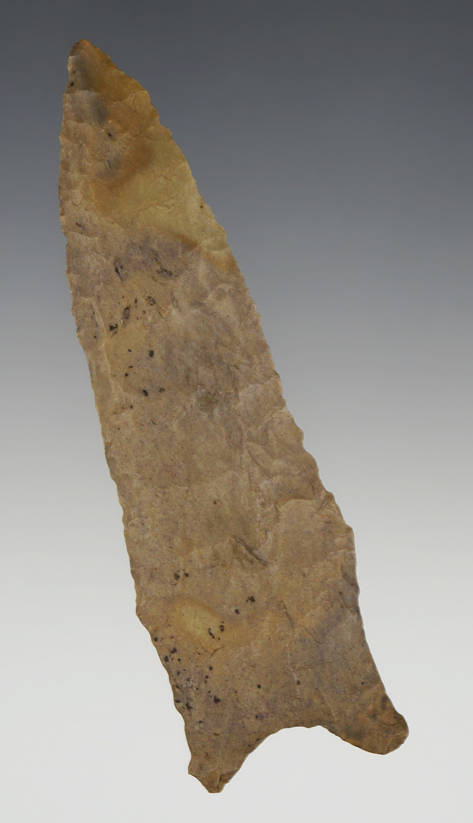 3 5/8" classic style Dalton found in Wayne Co., Tennessee, made from quality material.