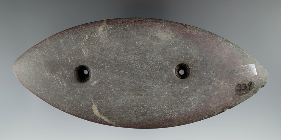 6 9/16" Glacial Kame Elliptical made from mottled Slate. Ex. Dr. Stanley Copeland, Steve Fulle