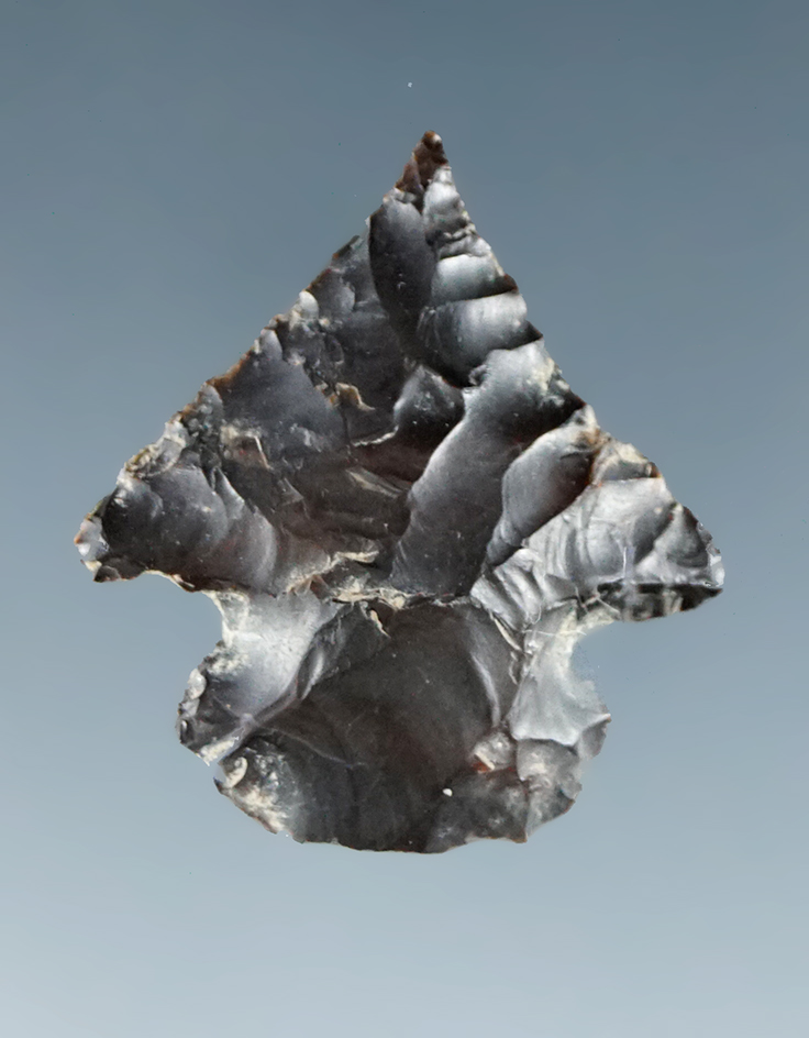 7/8" Hells Canyon Corner notch - black Jasper Yeager Island, Benton County Washington.