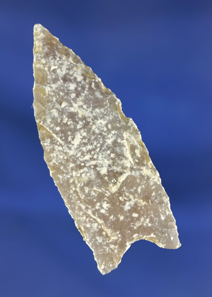 Nice! 2 1/16" Plainview found in Southwest Texas. Comes with a Rogers COA.