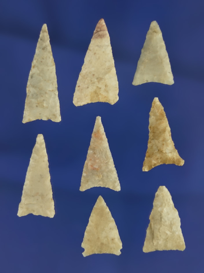 Set of eight triangular arrowheads found in the southwestern U. S. Largest is 1 1/4".