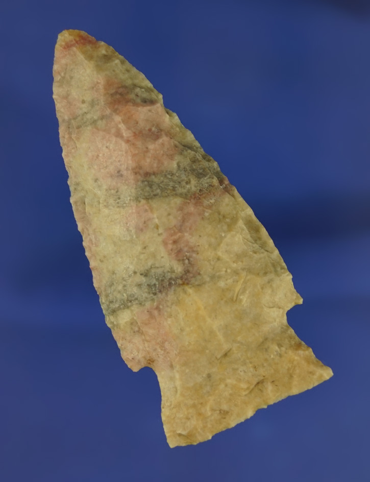 Beautiful material color on this 2 13/16" Steuben found in Boone Co.,  Missouri. Bennett COA.