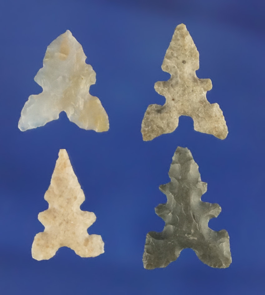 Set of four Birdpoints found in Texas, largest is 3/4".