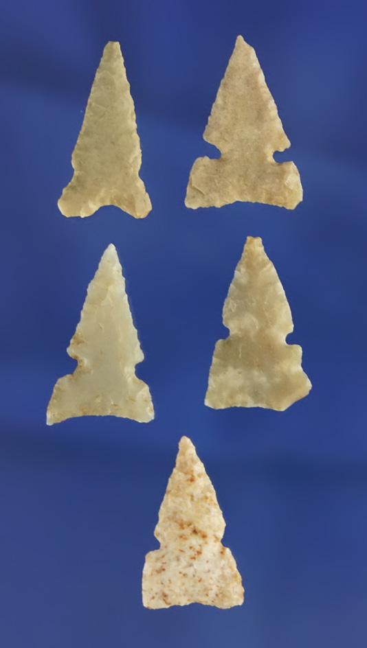 Set of five Triangular Notched Birdpoints found in the southwestern U. S. Largest is 7/8".