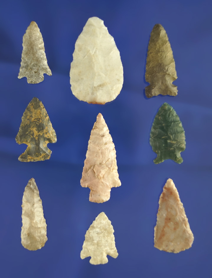 Set of nine assorted southwestern US arrowheads, largest is 1 5/8".