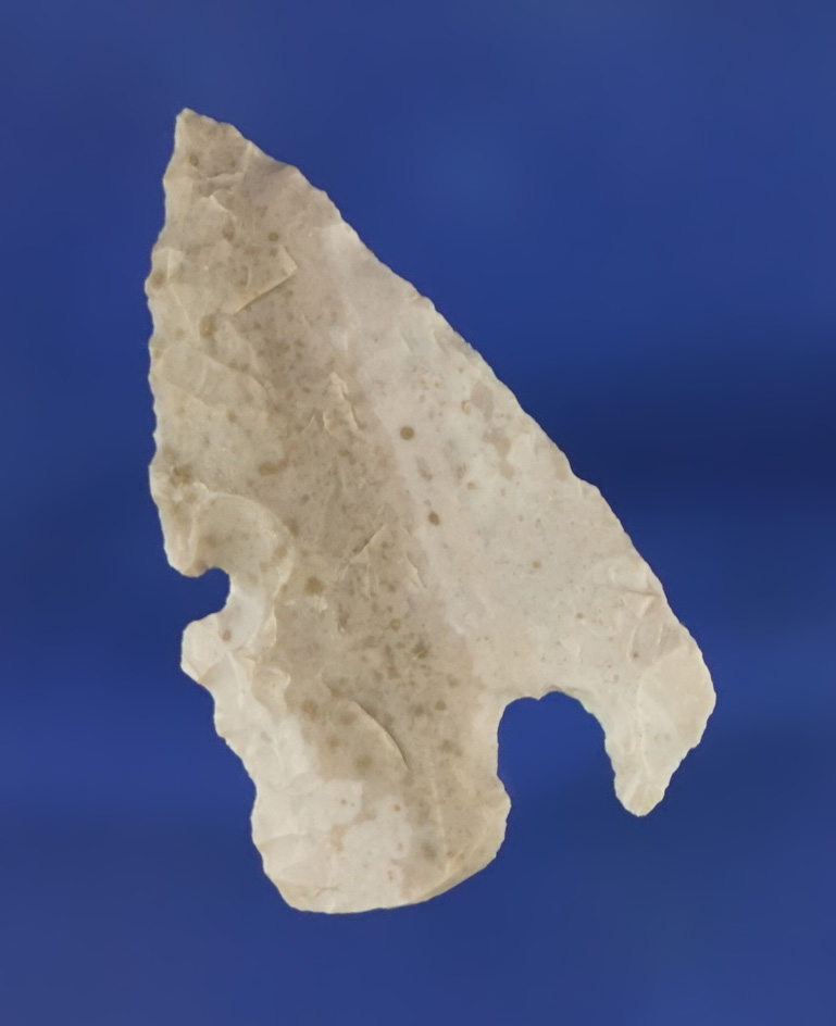 1 7/16" Charcos point found in Southwest Texas.