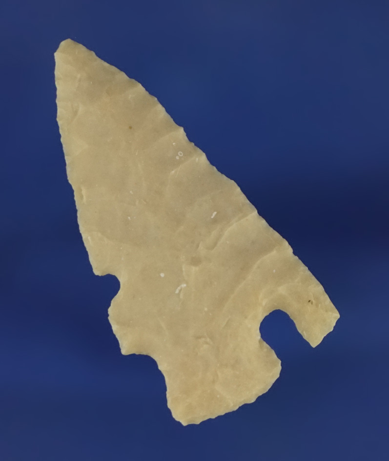 1 1/2" Charcos point found in Southwest Texas.