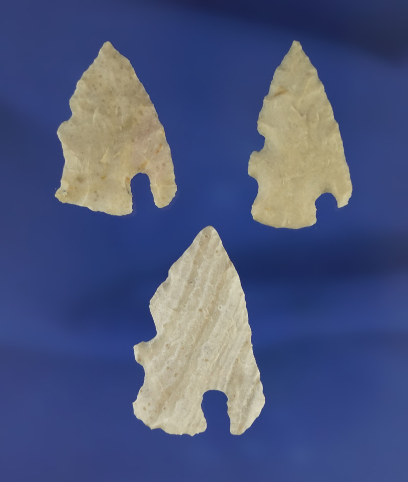 Set of three Charcos points found in Southwest Texas. Largest is 1 3/8".