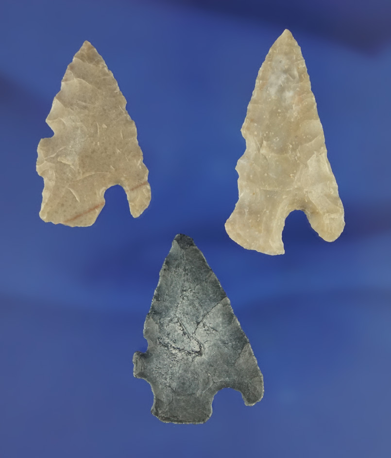 Set of three Charcos points found in Southwest Texas. Largest is 1 3/4".