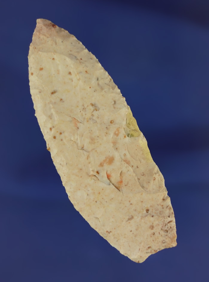 3 1/8" Angostura found in Missouri. Ex. Jerry Dickey.