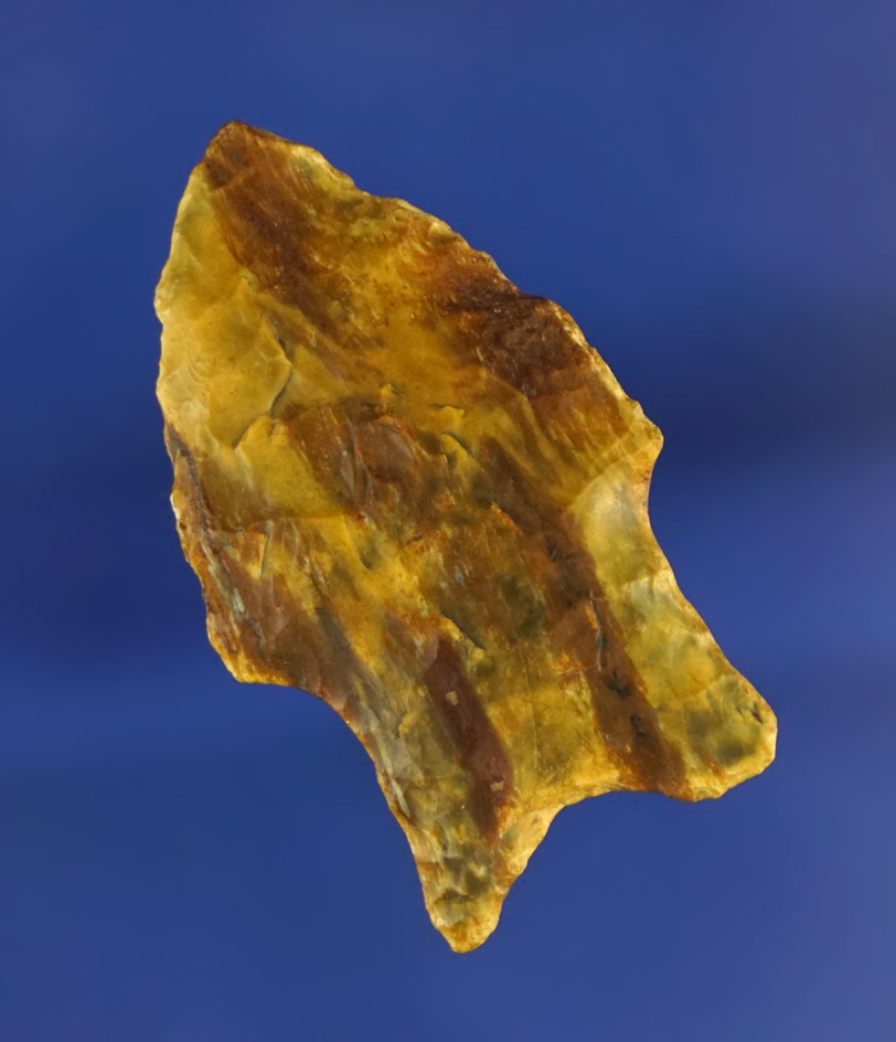 Very attractive 1 9/16" petrified wood point found in Texas.