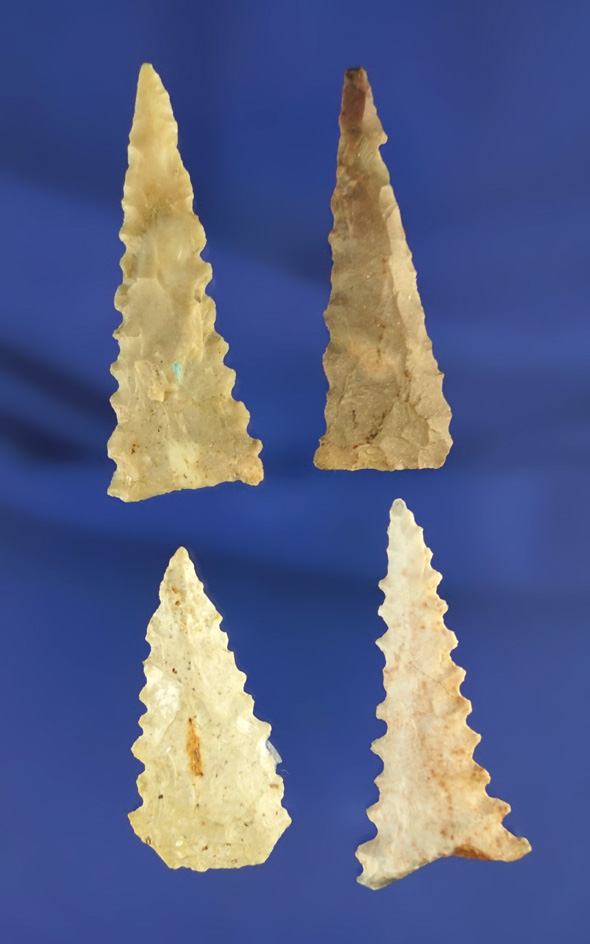 Set of four highly serrated Midwestern Triangle points, largest is 2".