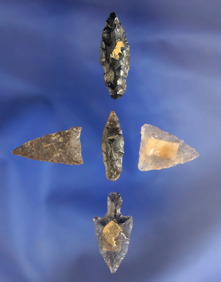 Set of five assorted Arrowheads found in the western US, largest is 1".
