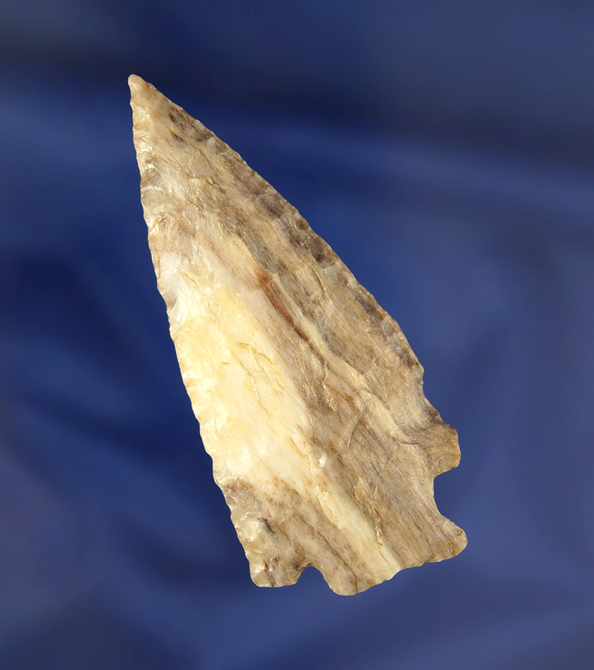 2 3/4" Petrified Wood Snake River found on the Oregon side of the Columbia River Gorge.