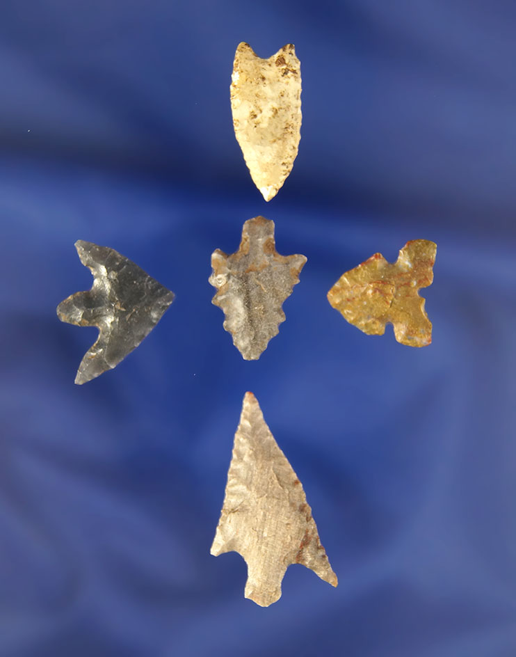 Set of five nice Arrowheads found near the Columbia River. Largest is 1 1/8".