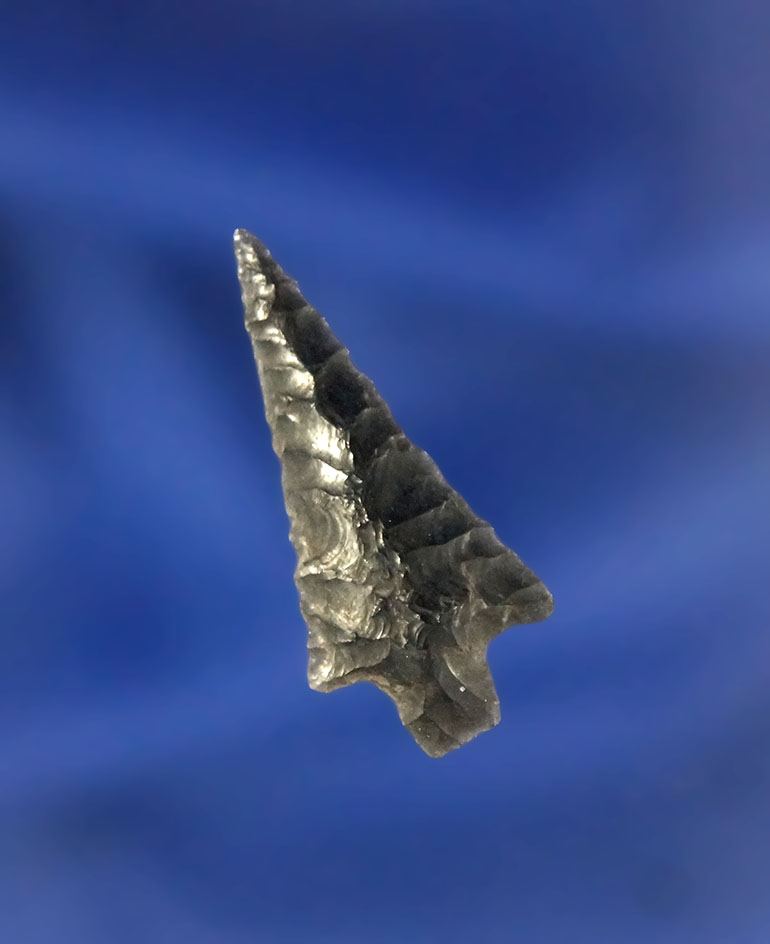 1 1/16" Rabbit Island that is nicely flaked from Obsidian in excellent condition. Columbia River.