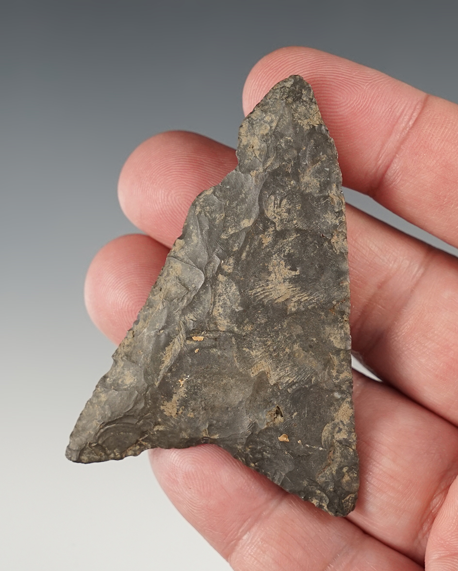 Large 2 3/4" Levanna Triangle found in the Midwest. Made from patinated black chert. 