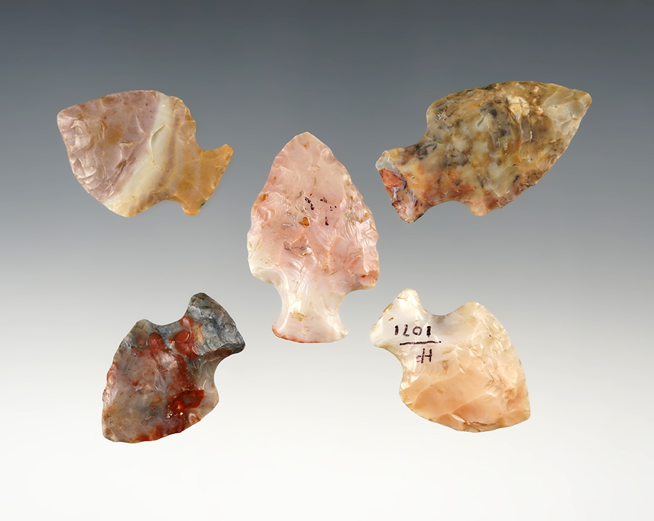 Set of 5 highly colorful Flint Ridge points found in Ohio. The largest is 1 11/16". 
